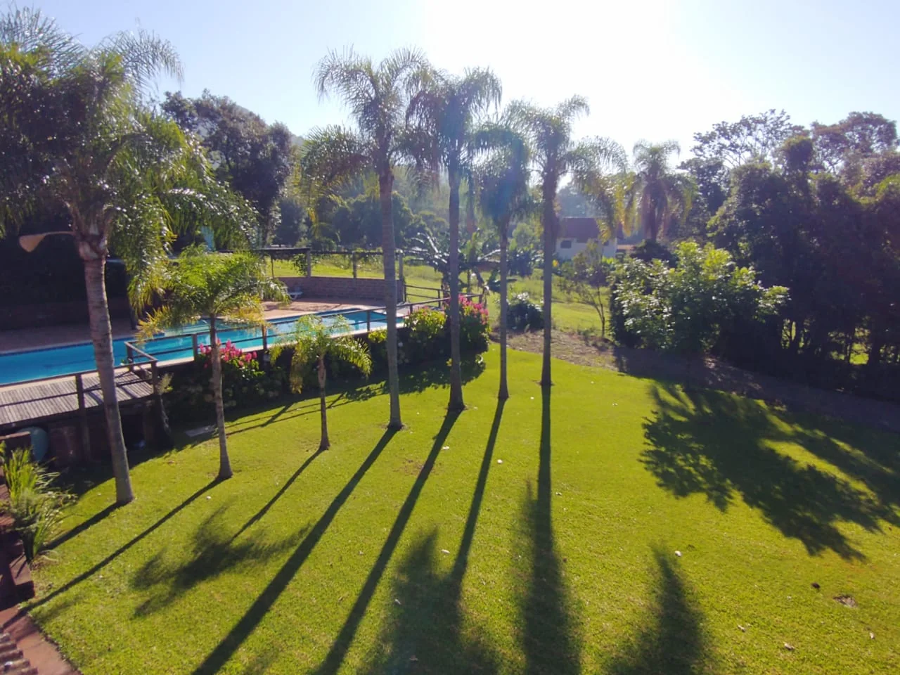 Área externa do Spazio com piscina, jardim e palmeiras
